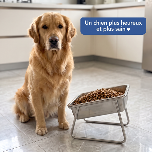 Bol orthopédique Kanelyo™ grand format